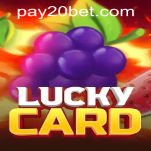 Exploring LuckyCard: The Exciting Card Game with a Twist